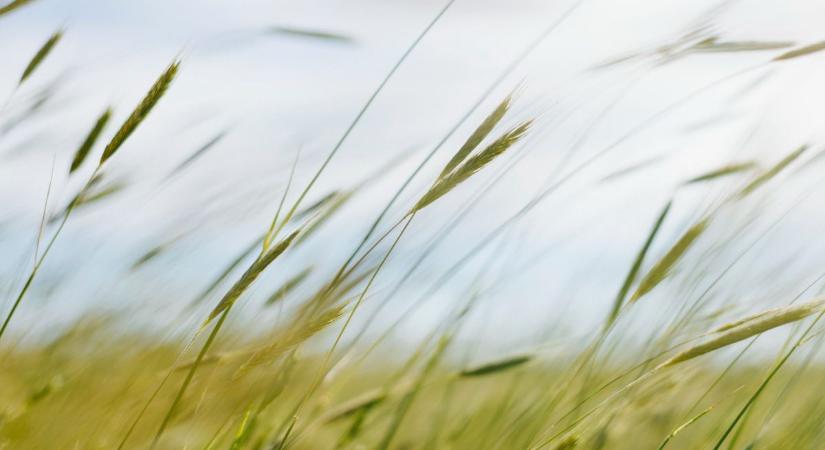 Ha vasárnapra programot tervezel, erre készülj: ilyen lesz a holnapi időjárás Szolnokon