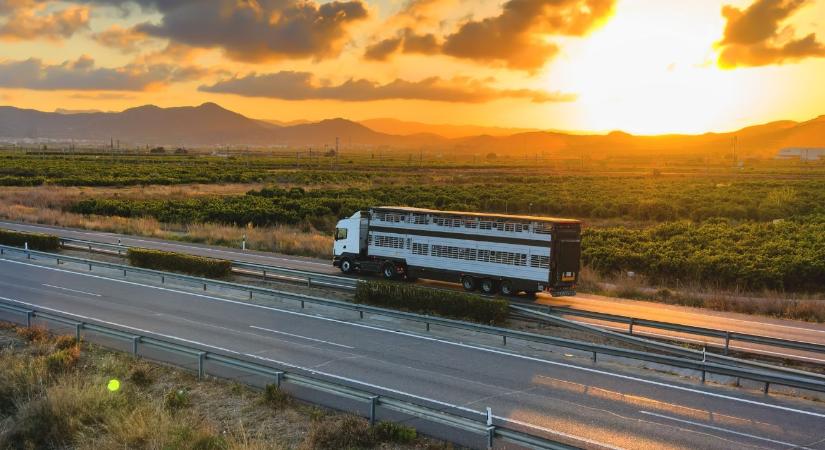 Útdíj: segítség a gazdáknak, hosszabb érvényesség a viszonylati jegyeknél