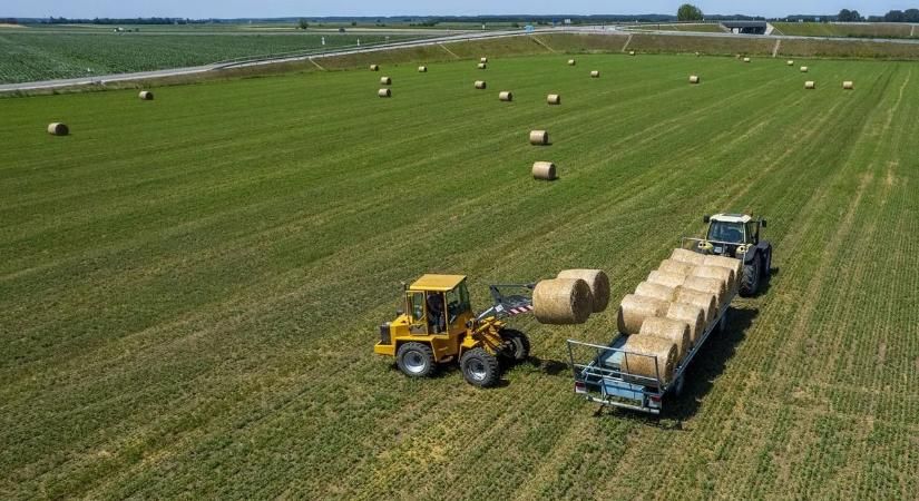 Segítség a vidéknek – 45 milliárd forintot kapnak a magyar gazdák az aszály után