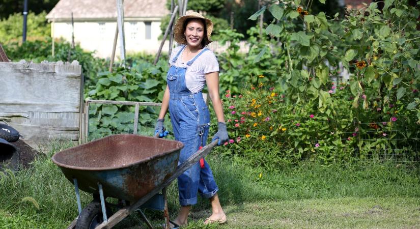 Ez a 6 apró hiba teljesen tönkreteheti a kert összhatását – pedig könnyű elkerülni őket