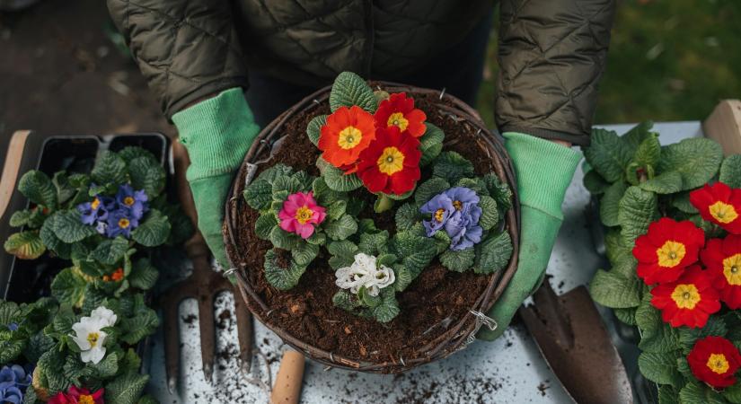 51 egyszerű, de látványos kertátalakítási ötlet, amit egy hétvége alatt megvalósíthatsz