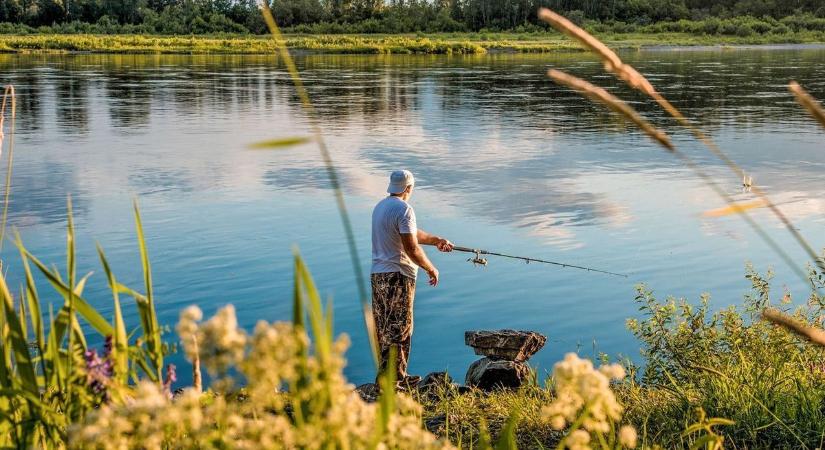 Ennyibe kerül idén legálisan pecázni Fejérben – sok horgászt meglephet, mennyi papír és pénz kell a szezonrajthoz