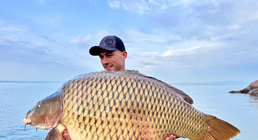Brutális méretű balatoni ponty akadt horogra - tippelj, hány kilós a hal