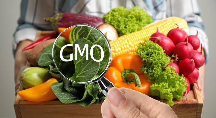 Jelölés nélkül jöhetnek az új GMO-k?