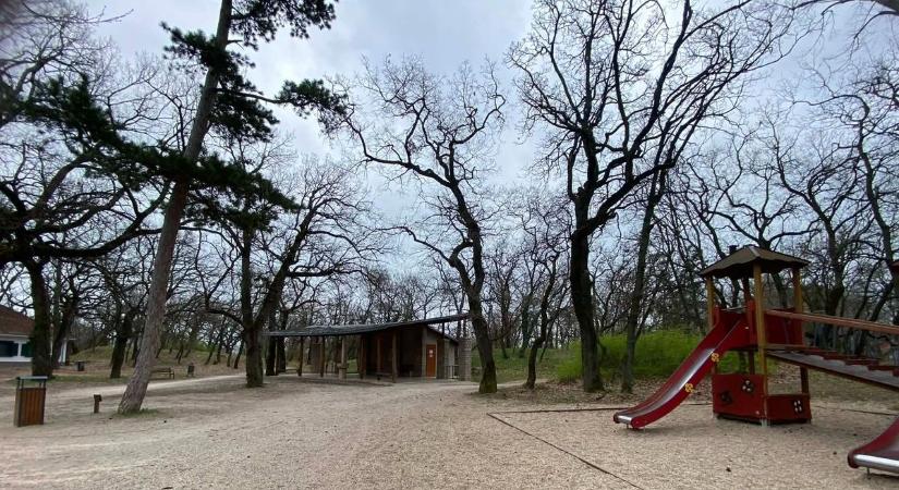Nagy dolgok a kiserdei játszótéren