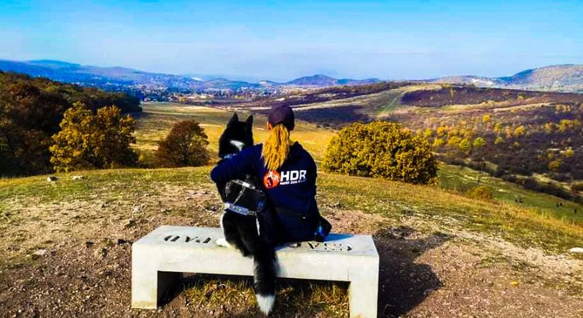 Mi kell a biztonságos kutyás kiránduláshoz? – A szakértő válaszol