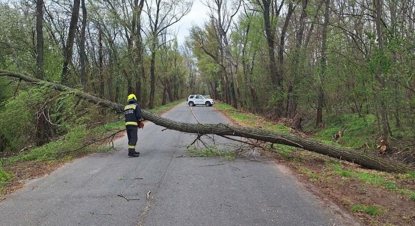 Ideiglenes útlezárásra volt szükség a szél miatt Fejérben