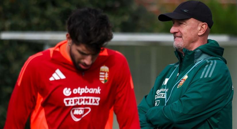 Amikor az Anfielden is Mandinert olvasnak – a liverpooli drukkerek kiálltak Marco Rossi mellett