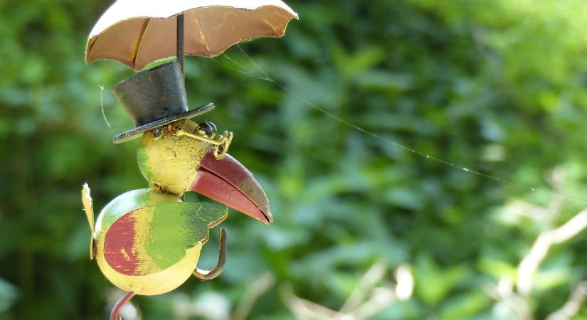 Szeretne egy saját meteorológiai állomást a kertjébe? Most kaphat egyet