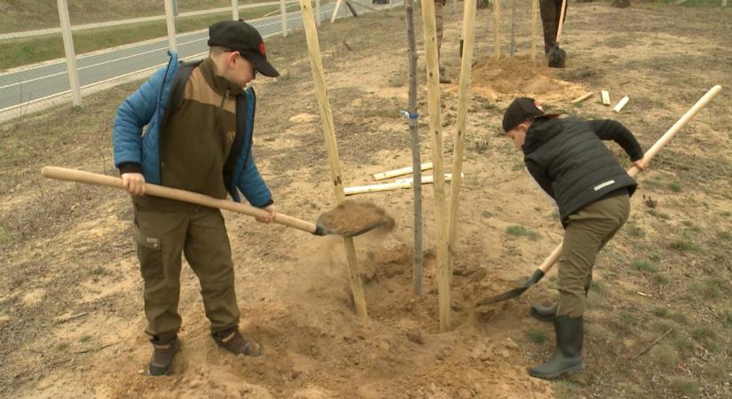 A közösségépítésen volt a hangsúly a két debreceni városrészben megrendezett programokon