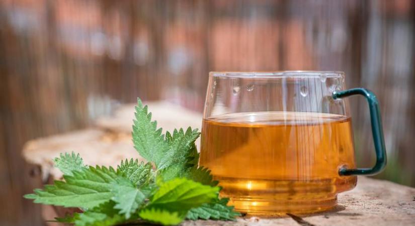 Segíti az emésztést, és ízületi panaszokra is csodaszer ez a tea: mindenki ismeri a növényt, amiből készül