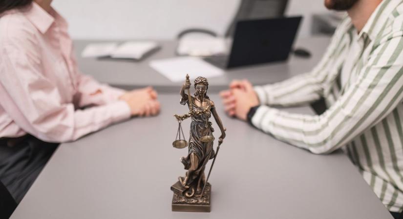 Tévesen lerombolt ház, szelfiző majom és egy visszakövetelt vese – összegyűjtöttük a világ legabszurdabb pereit