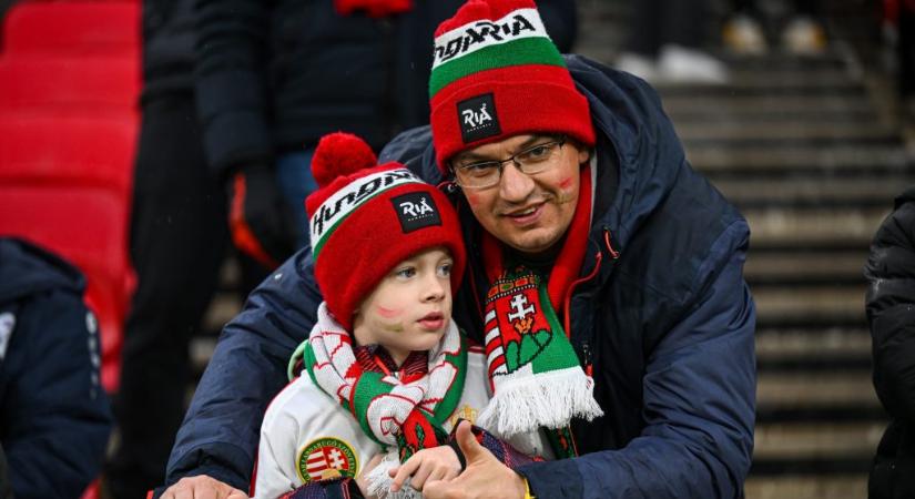 Magyarország-Szlovénia (élő)