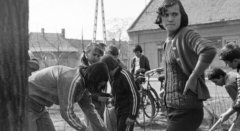 Régen megélhetés, ma már csak hobbi – fotókon mutatjuk, hogyan kertészkedtek a múltban