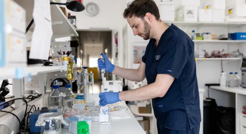 Új magyar fejlesztés adhat reményt a nehezen kezelhető epilepsziás betegeknek