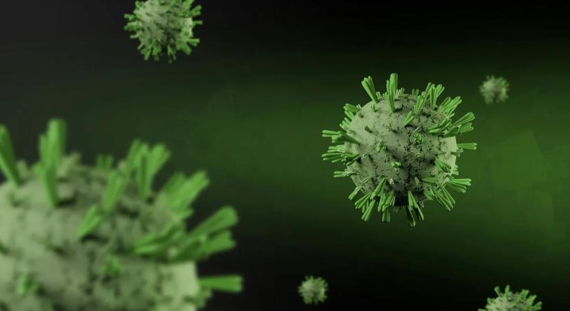 Svájc, Németország és Ausztria után hozzánk is elér a végzetes vírus?