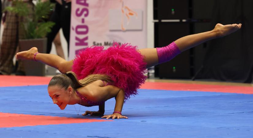 Kaposváron álltak zsűri elé a világ legjobbjai