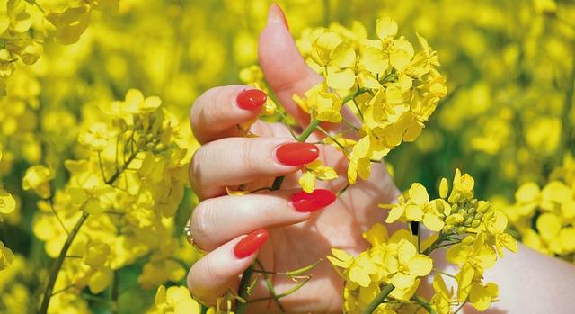 Sikeresen zárult az ENAG a női agrárvállalkozók fejlesztéséért innovációs bootcamp Magyarországon