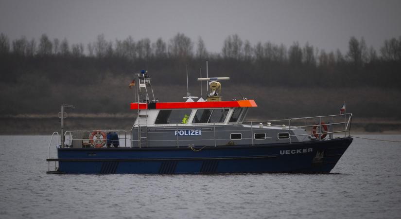 Folytatódik a bálnahorror: épphogy kiszabadult, újra csapdába esett az állat a Balti-tengernél