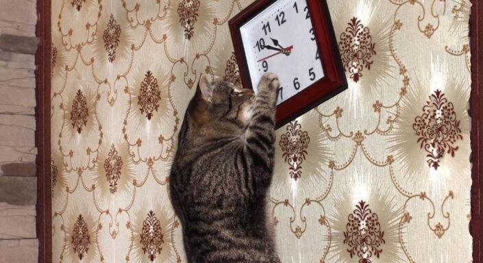 Már megint óraátállítás: kezdődik a nyári időszámítás