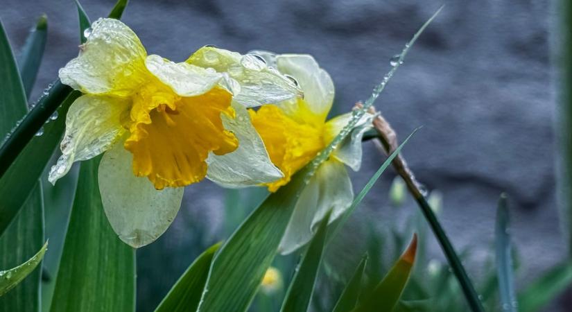 Jó hír! Vasárnap már előbújhat a nap is