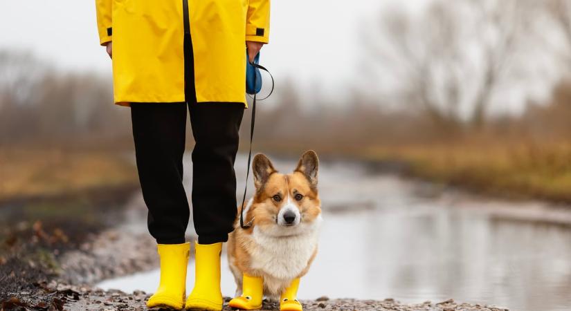 Időjárás 2026. március 29.: Esős, szeles, de helyenként napos idő zárja a hetet