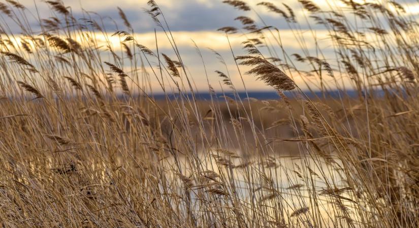 Szeles és felhős lesz az idő vasárnap