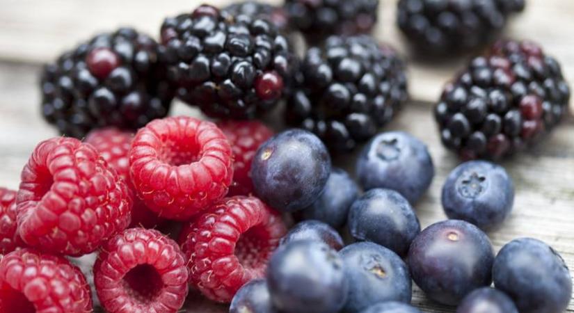 Ez az 5 étel kiválóan támogatja a vese működését: mindenképp építsd be a mindennapjaidba őket