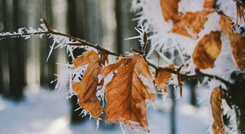 Időjárás: egyik nap tavasz, másik nap fagy – mi történik itt?!