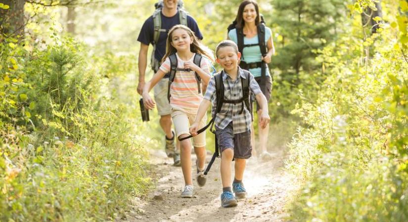 Csodákat láthatsz most a Naszály hegy csodás ösvényén: gyerekkel is könnyen bejárható