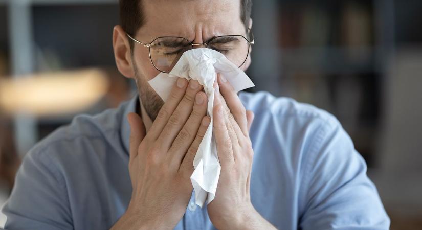Vége a találgatásnak: 51 jel, amiből kiderül, hogy a pollenek vagy a nátha kínoz