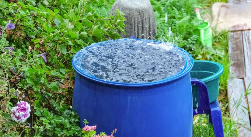 Így spórolhatsz az esővel: önözésre kiváló, csak össze kell gyűjteni