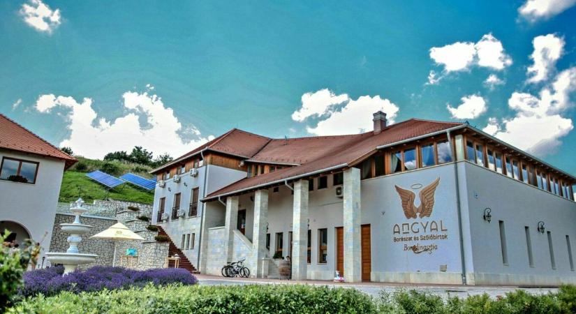 Tavaszi hétvégék Tokaj-Hegyalján