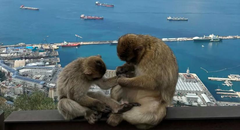 Tavaszi kiruccanást tervezel Spanyolországba? Fazekas Ivett világutazó elárulta a legjobb tippeket, amiket érdemes tudnod előtte