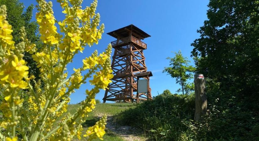 Öt remek bakonyi kilátót ajánlunk, toplistás látvánnyal