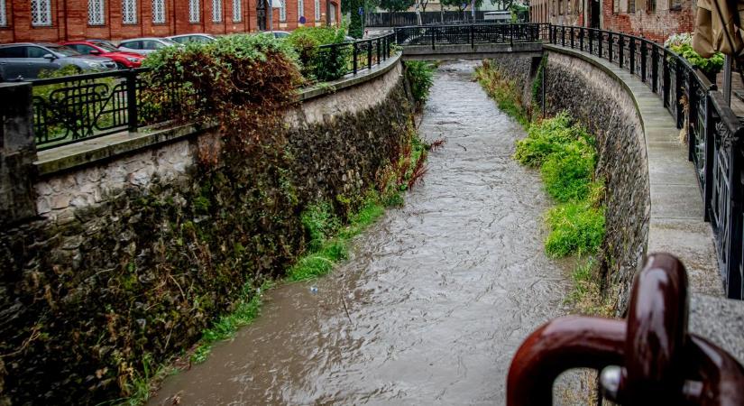 Rejtélyes állatok jelentek meg a Szinva-patakban (videó)