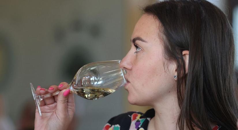 Borverseny Baranyában: várják a termelők nevezéseit