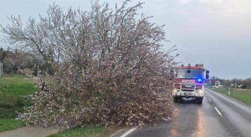 Orkánerejű szél tombol a Balatonnál, ennek a fele se tréfa fotók