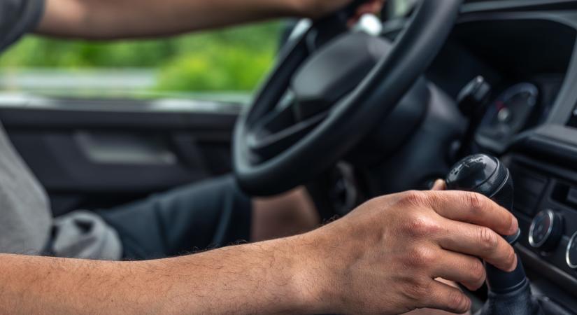 Elsodorta, viperával bántalmazta haragosát Múcsonyban