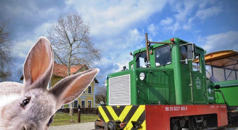 Húsvéti kaland a Zselicben: kincseket kereshetünk a kisvasúttal