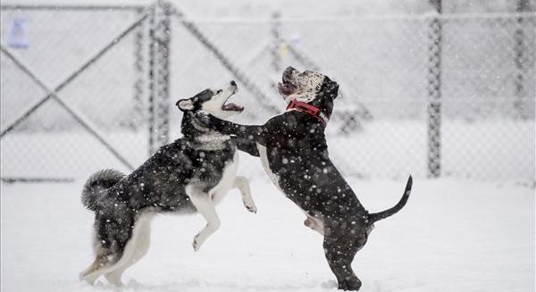Újabb szomszéd területet temetett maga alá a hó