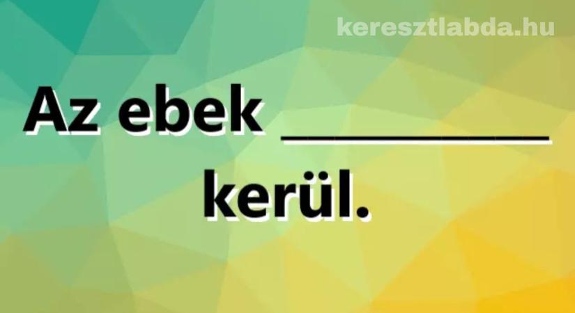 Napi közmondás feladat: Az ebek hova kerülnek? Csak a művelt magyarok tudják!