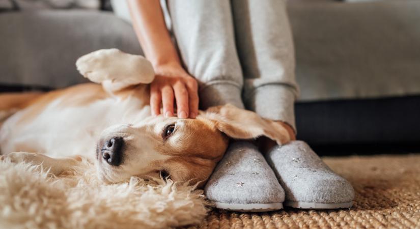 6 magyar szokás, ami nagyon furcsa a külföldieknek