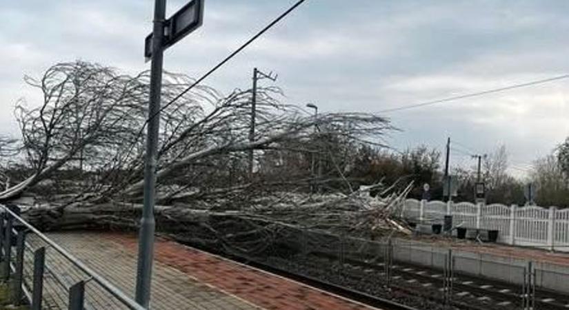 Összeomlott vasúti közlekedés a Balatonnál, teljes káosz a dél-balatoni vonalon