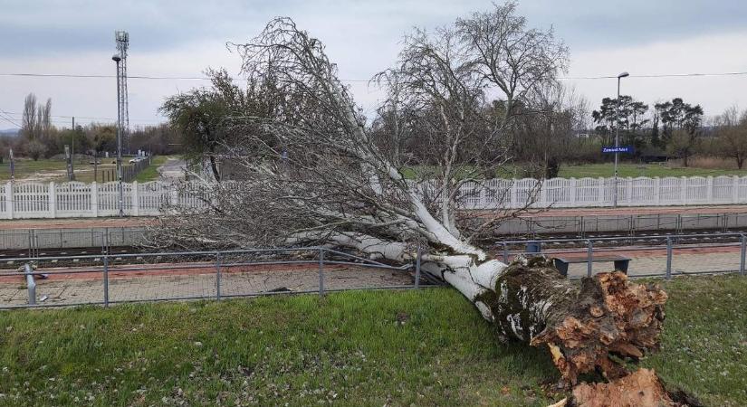 Brutális a szél, jó, ha megnézik a balatonszemesiek, megvan-e még a házuk teteje