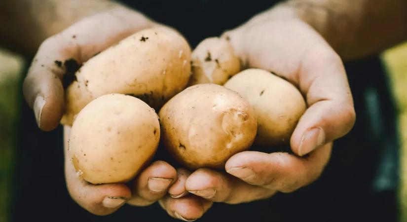 Fogyókúrás injekciók már a gazdákra is hatással vannak? Ijesztő, ami most történik