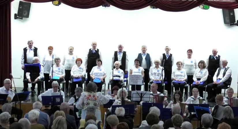 15 éves jubileumát ünnepelte a győri zenekar - fotók