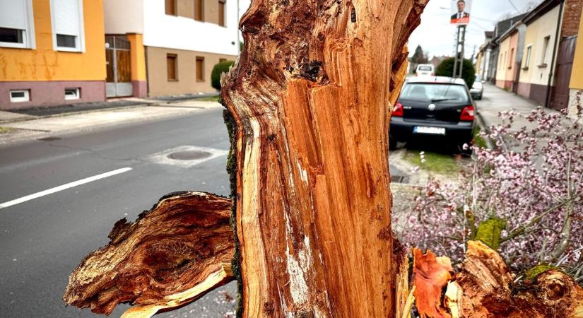 Citromsárga riasztás és jéghideg szél: mutatjuk, mikor tetőzik a vihar Zalában!