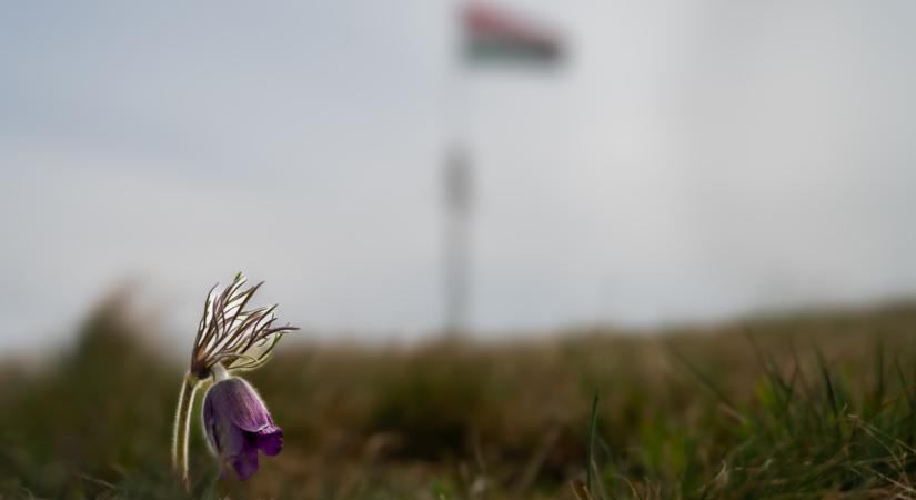 Épp a ciklon okklúziós frontja áztat bennünket