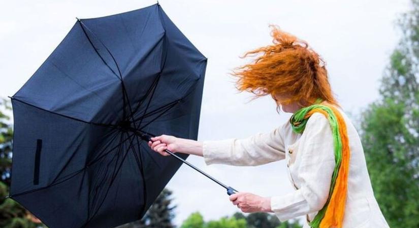 A nyuszi tavaszt is hoz majd?